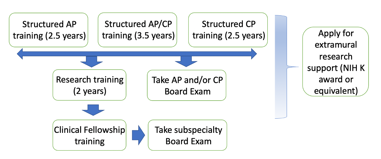 pstp-program-structure.png